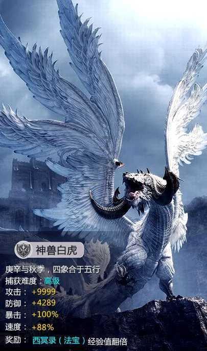 首届“蒙古马精神杯”锡林郭勒蒙古马超级联赛总决赛圆满落幕