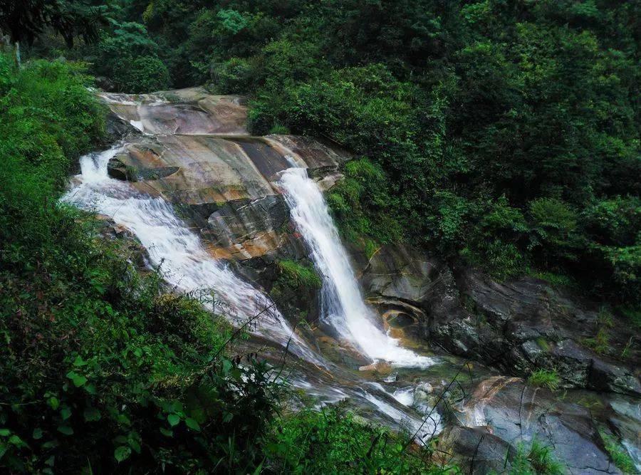 矿工打地鼠